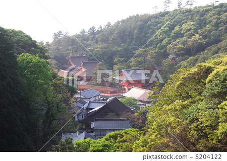 Japan Osaki Shrine 8204122