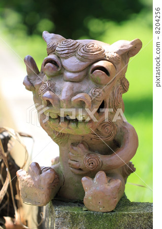 SHISA SHISA 8204256
