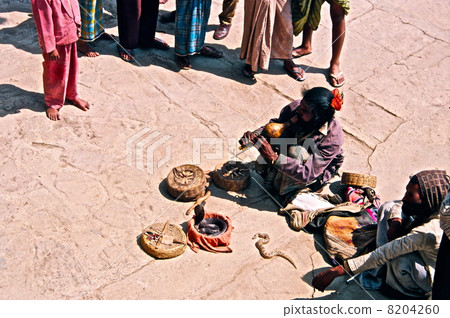 印度蛇的使用 - 1997 年 2 月（瓦拉納西 / 印度） 8204260