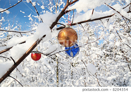 New Year decoration New Year decoration 8204354