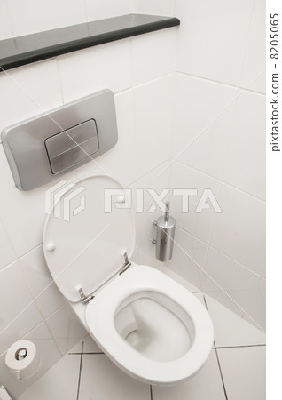 Toilet in the bathroom 8205065