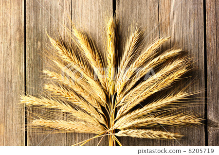 Rye spikelets over wooden background 8205719