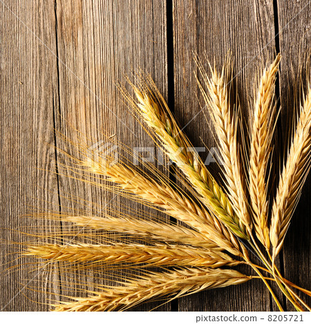 Rye spikelets over wooden background 8205721