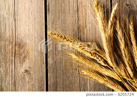 Rye spikelets over wooden background 8205724