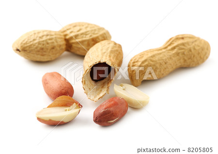groundnut 8205805