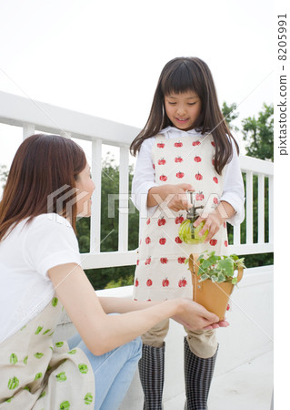 Watering plants 8205991