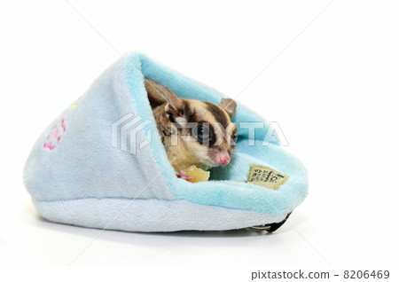 Fukuromomonga Fukuromomonga 8206469