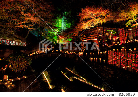 Waterfall and autumn leaves and bamboo lantern 8206839