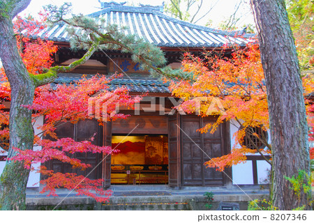 Eikan-do秋葉 8207346