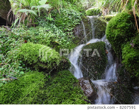 冷湖的精神之泉(Hakoko)·圖像(7) 冷湖的精神之泉(Hakoko)·圖像(7) 8207591