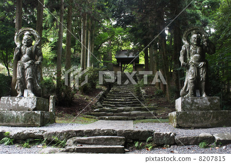 Bokoji Temple Nioh's statue 8207815