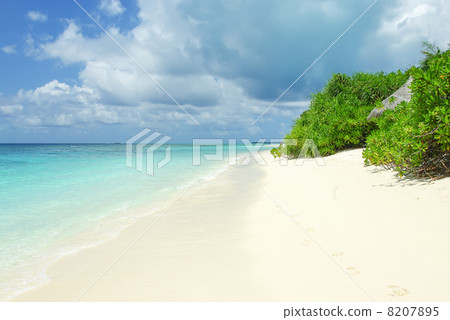 Tropical Maldivian island and beach in Indian ocean 8207895