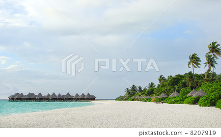 Tropical Maldivian island in Indian ocean Tropical Maldivian island in Indian ocean 8207919