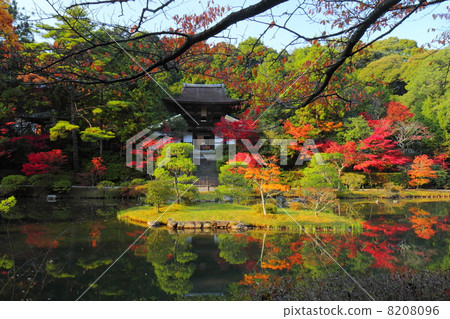 Circular temple of autumnal leaves 8208096