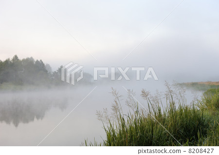 Morning river mist Morning river mist 8208427