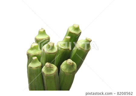 黃秋葵 黃秋葵 8208562