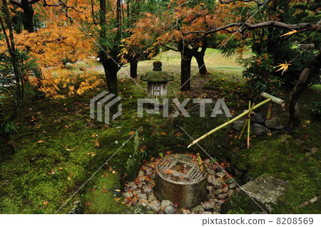 Kyoto Shogetsudo garden festival 8208569