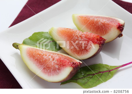 FIG  8208756