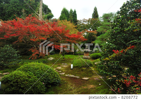 京都Yunoyuin秋天庭院 8208772