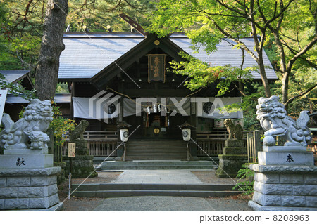 Kasugayama Shrine 8208963