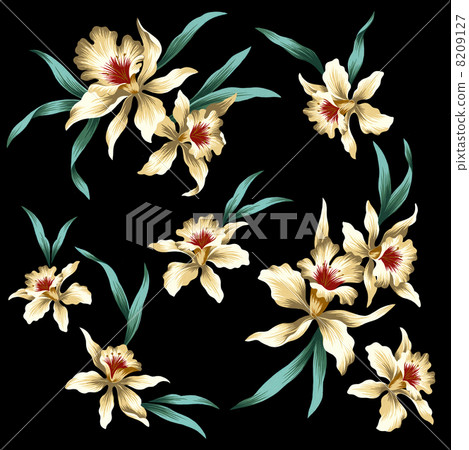 卡特蘭 卡特蘭 8209127