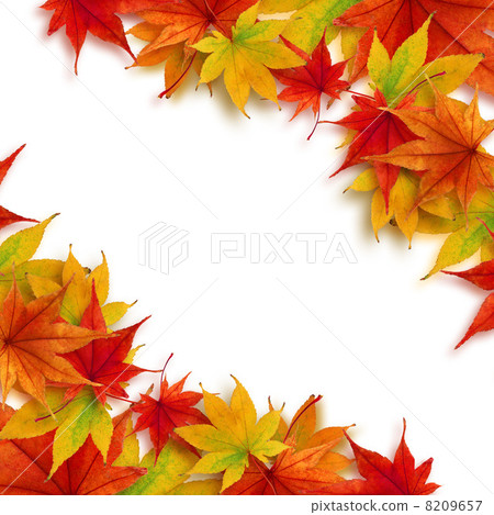 Autumn leaves Maple autumn frame - Stock Illustration [8209657] - PIXTA