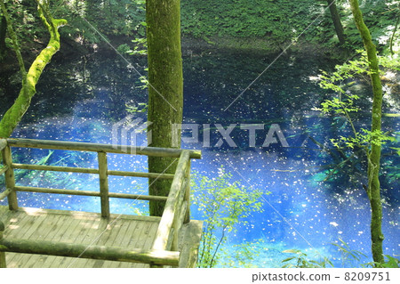 Aoike of Shirakami Mountains Aoike of Shirakami Mountains 8209751