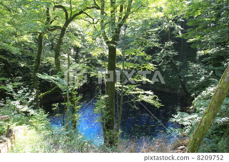 Aoike of Shirakami Mountains Aoike of Shirakami Mountains 8209752