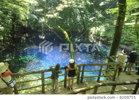 Aoike of Shirakami Mountains 8209755