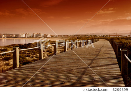 Orange beach Orange beach 8209899
