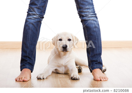 Cute pupie under the legs Cute pupie under the legs 8210086