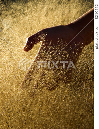 Felling the nature 8210332