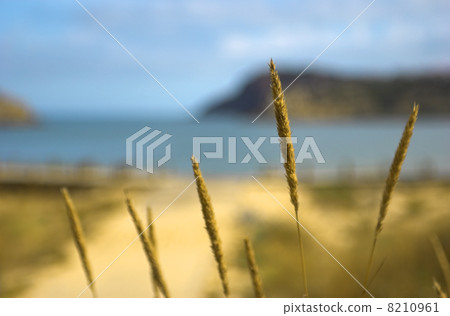 Blue beach 8210961