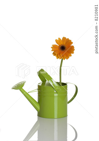 Green watering can with a flower Green watering can with a flower 8210981