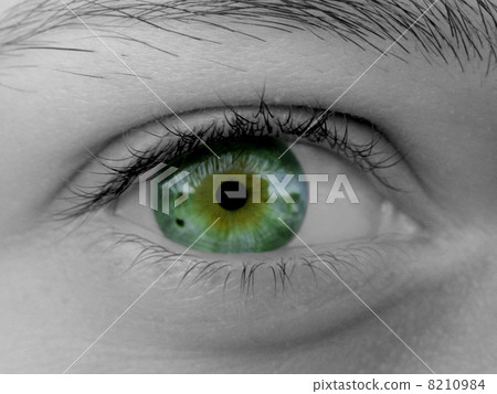 Female eye Female eye 8210984