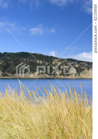 Blue bay Blue bay 8210989