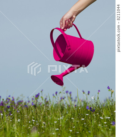 Watering the flowers Watering the flowers 8211044
