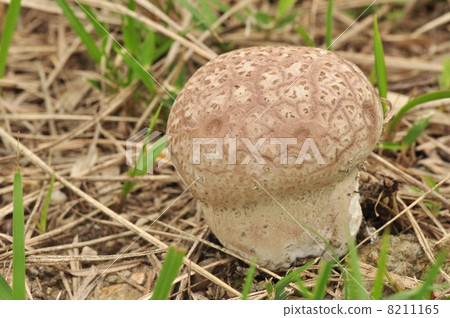 Onyxesbe Onyxesbe 8211165