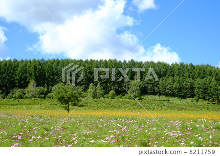 Sun Hill Enclosed Park Sun Hill Enclosed Park 8211759