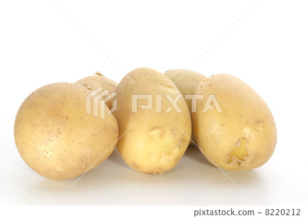 organic potatoe fresh from the garden 8220212