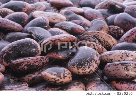 some raw cranberry beans ready to cook some raw cranberry beans ready to cook 8220295