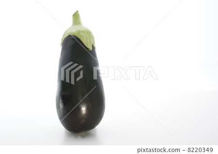 fresh organic eggplant from the garden 8220349