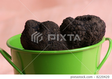 some organic summer truffle in a green bucket 8220420