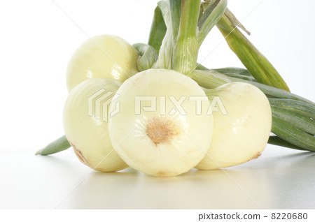 some withe onions and a white background some withe onions and a white background 8220680