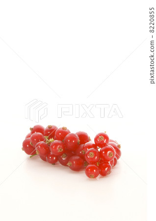 some fresh red currant on a white background some fresh red currant on a white background 8220855