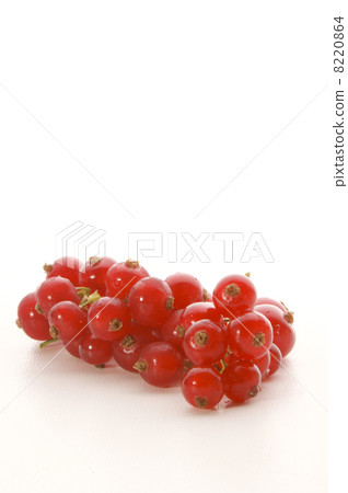 some fresh red currant on a white background some fresh red currant on a white background 8220864