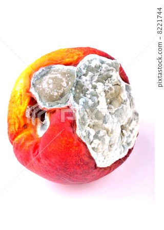 mouldy organic vegetable unhealthy to eat on a timber board 8221744
