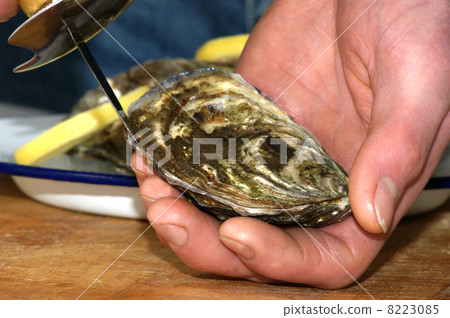 how to open one raw organic oyster 8223085
