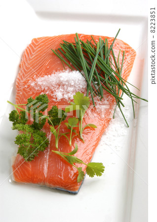 Salmon fillet on a white plate is prepared as food Salmon fillet on a white plate is prepared as food 8223851