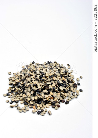 urid dall chilka, split beans on a white background 8223862